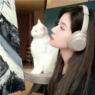 叠影谋杀案